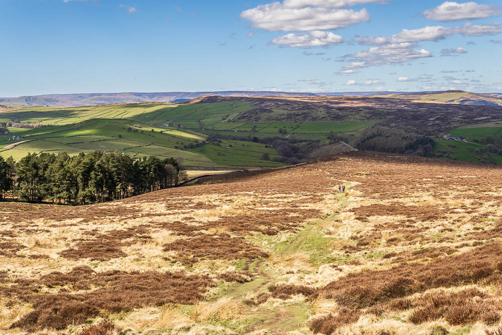 Eyam Moor Eyam Moor